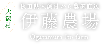 秋田県大潟村から農家直送　伊藤農場
