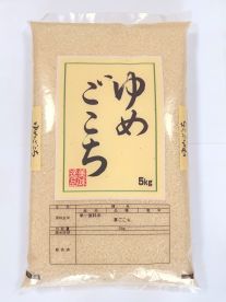 夢ごこち